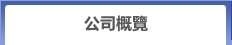 公司概覽